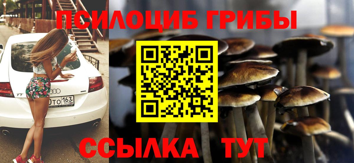 Курганинск  Псилоцибиновые грибы Cubensis  Псилоцибиновые грибы мухоморы  Вход с VPN 